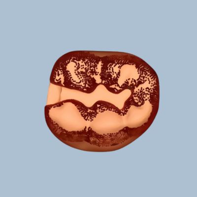 Untitled design (26)